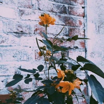 新万博ManBetX客户端